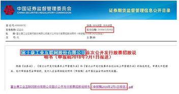 热点爆料视频的用途怎么写,追踪社会动态的锐利视角
